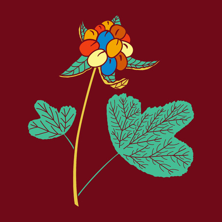 Vector illustration of hand drawn cloudberry. Design for t-shirt, card. Tribal african style.のイラスト素材