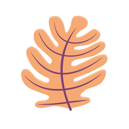 Abstract illustration of oak leaf. Organic concept style. Vector isolated on white backgroundのイラスト素材