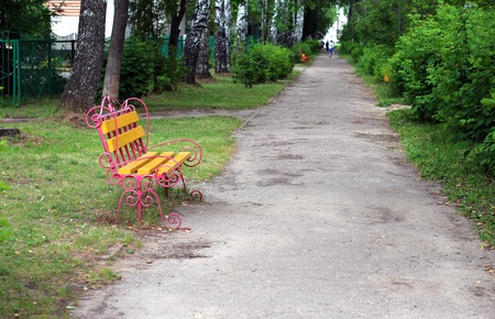 yellow wooden bench in the Parkの写真素材