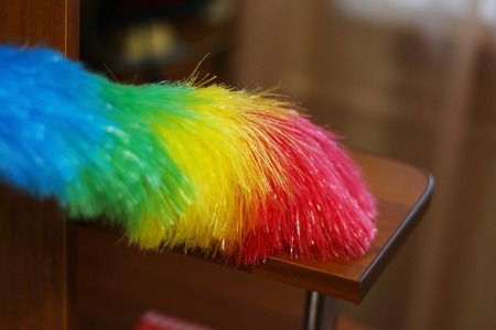 clean the dust from the shelvesの写真素材