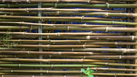 natural background of bamboo fenceの写真素材