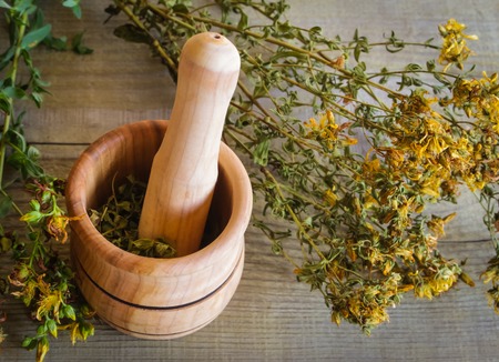 mortar with herb St. John's wort for the preparation of therapeutic decoctions and infusions used in...