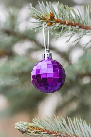 beautiful Christmas ball lilac on a branch of spruceの写真素材