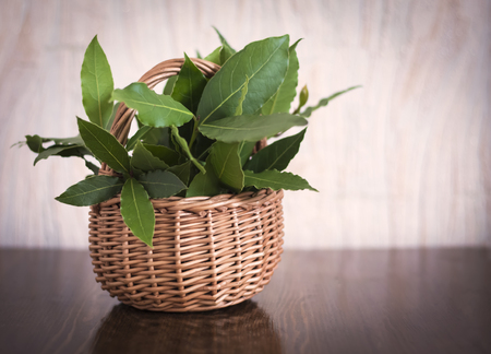 Bay leaf in basketの写真素材