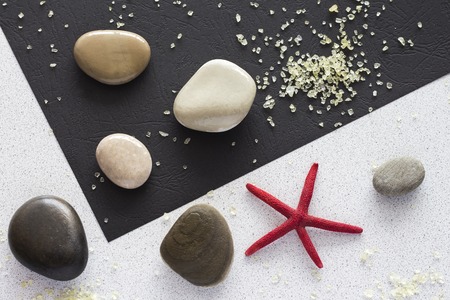 layout on black and white background sea stones and starfish