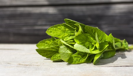 a bouquet of fresh mint on a wooden surface in sunlight with a copy of space.の写真素材