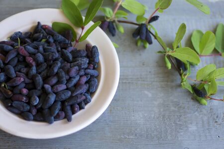 Composition of berries and honeysuckle leaves with a plate on a tree background.の写真素材