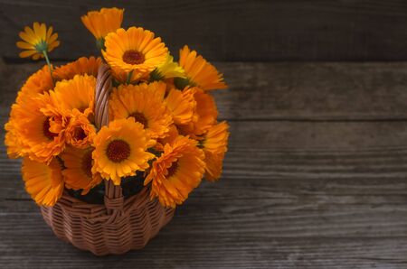 Fresh calendula flowers in a wicker basket on on wooden a table.の写真素材