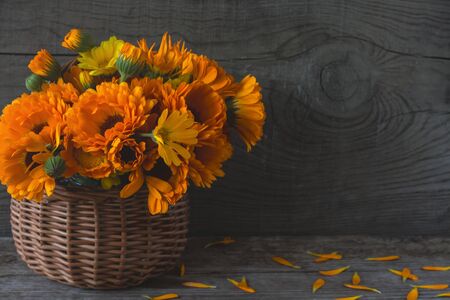 bouquet of bright medicinal herbs of calendula in a basket on an old wooden background with a copy of space.の写真素材
