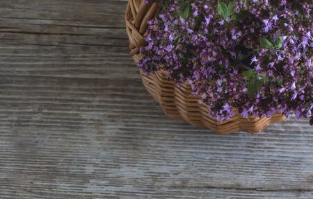 Composition with a bouquet of oregano flowers in a basket on a wooden background top view with a copy of the space.の写真素材