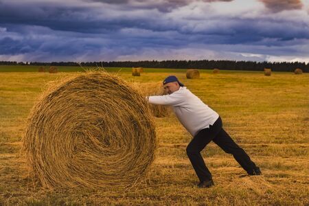 a man in a white jumper pushes a haystack in a yellow field with a blue sky