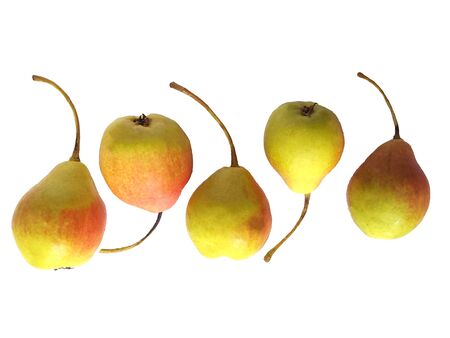 ripe garden pears isolated on white background.