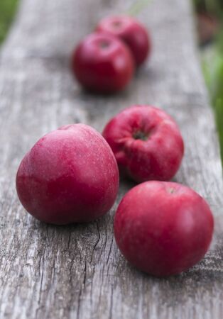 Fresh red apples on a wooden bench in the garden.の写真素材