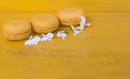 yellow macaroons cake on yellow background with white flowers and copy space.の写真素材