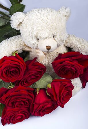 toy bear holding red fresh roses on a light background.の写真素材