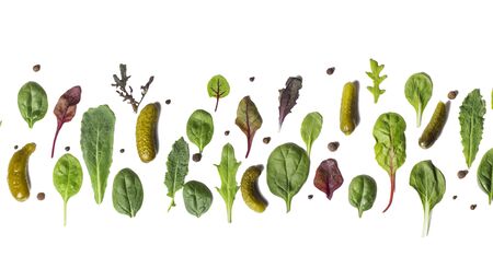mix of fresh edible lettuce leaves with pepper peas and pickled cucumbers, flat layout.の写真素材