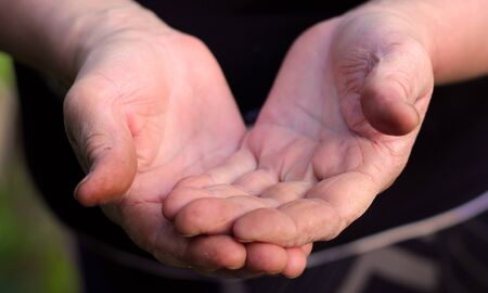 rough and weathered hands of an elderly peasant woman close up.の写真素材