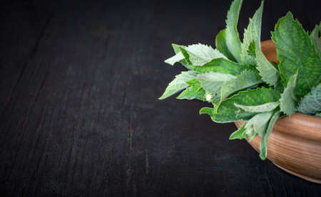 Green fresh mint in a plate on a dark wooden table with a copy of space.