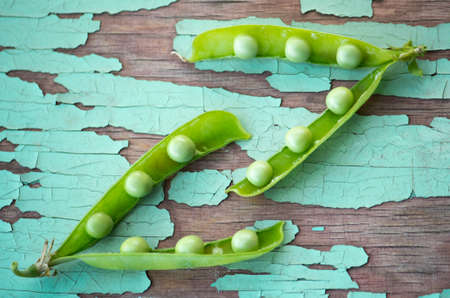 two young open fresh juicy green pea pods on an old vintage background.の写真素材