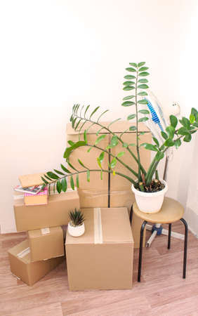 cardboard boxes full of things, moving to a new houseの写真素材