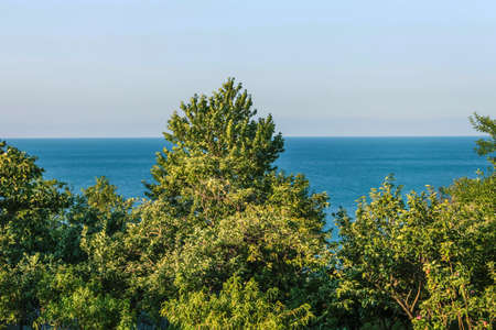view of the blue sea from the hotel window through the trees.の写真素材