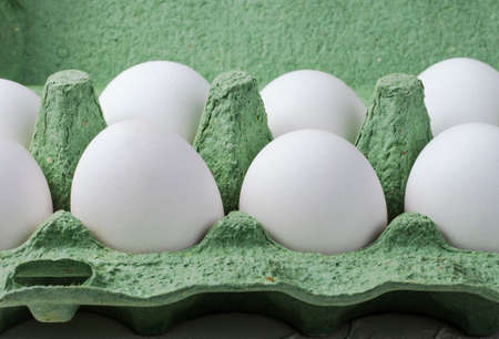 white chicken eggs in a green container close up