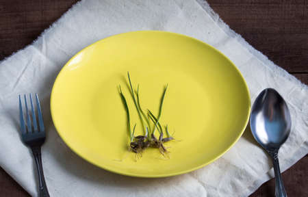 oat seed germs on a yellow plate with a fork and spoon