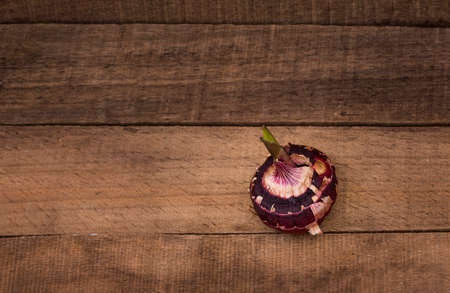 sprouted gladiolus bulb on wooden background with copy space