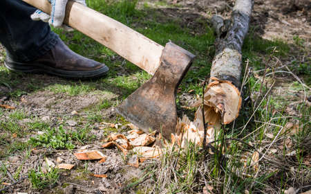 a man with an ax next to a tree he cut down.の写真素材
