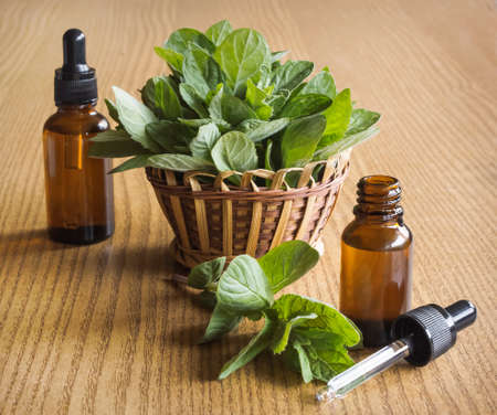 mint in a basket and mint cosmetic oils in glass jars on a wood background.