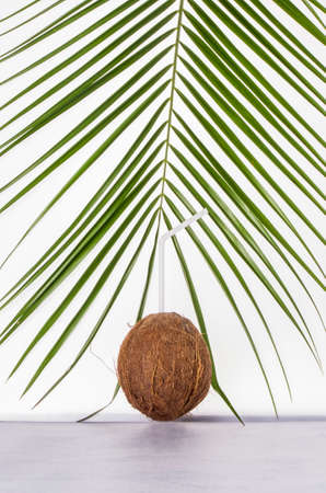 One whole round coconut on a green palm leaf background.の写真素材