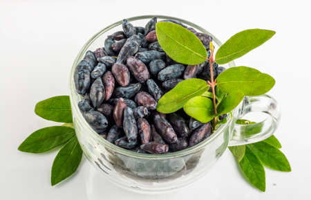 Blue honeysuckle berries in a glass cup on a white table top view.の写真素材