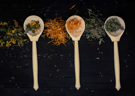 dried medicinal herbs in wooden spoons and scattered on a black wooden background.