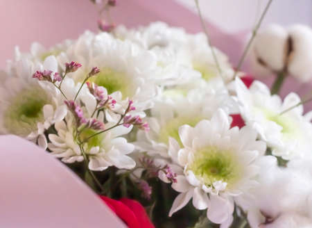 festive bouquet of white autumn chrysanthemums in pink paper.の写真素材