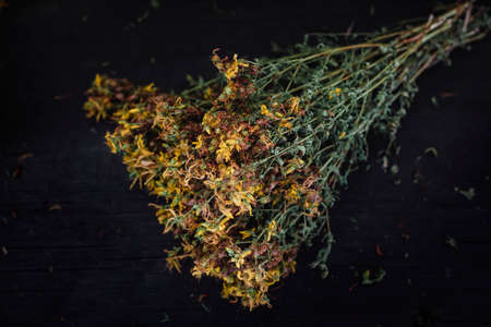 dried St. Johns wort flowers on a natural background of a black wooden tableの写真素材