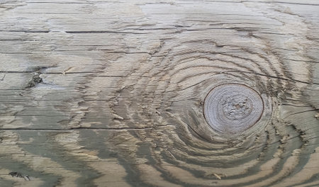 a fragment of a wooden log background