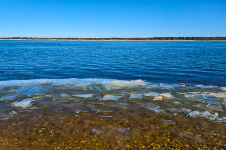 Remnants of ice off the coast flow down the spring river