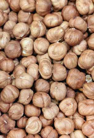 A slide of peeled hazelnuts, as a natural background view from aboveの写真素材