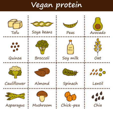 Set of cartoon hand drawn objects on vegan source of protein theme: tofy, soya beans and milk, quinoa, lentil, chia. Healthy vegetarian food concept for your designのイラスト素材