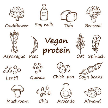 Set of cartoon hand drawn objects on vegan source of protein themeのイラスト素材