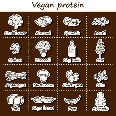 Set of cartoon hand drawn stickers on vegan protein source theme: tofy, soya beans and milk, quinoa, lentil, chia. Healthy vegetarian food concept for your designのイラスト素材