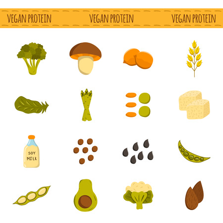 Set of cartoon objects. Vegan source of protein: tofu, soya beans and milk, quinoa, lentil, chia. Healthy vegetarian, vegan, raw food concept for your design. Organic shop, store, market designのイラスト素材