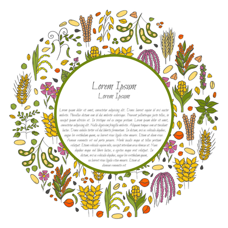 Vector illustration with cartoon hand drawn porridge cereals background: oats seeds, soybean, rye, wheat, quinoa, rice, chia seeds, lentil, chickpeas. Vector healthy breakfast. Food hand drawn objectsのイラスト素材