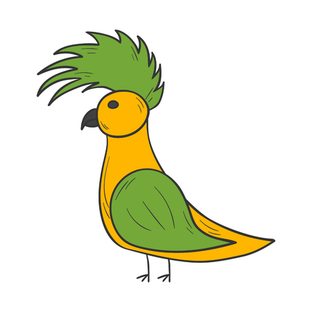 Vector cartoon illustration with hand drawn green yellow isolated parrot on white background. Exotic tropical bird icon. Vector parrot isolated. Cartoon cute pet. Children book cover illustrationのイラスト素材
