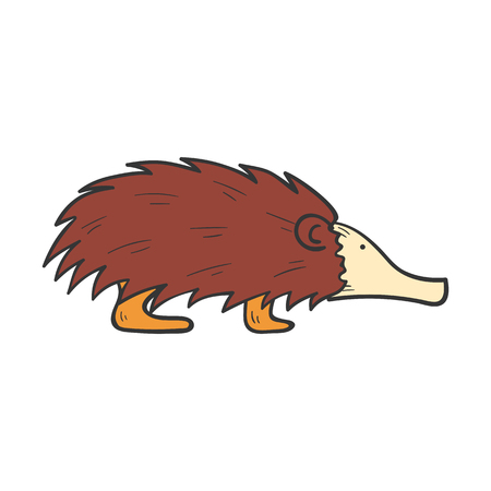Vector cartoon illustration with hand drawn brown isolated australian animal echidna on white background. Exotic tropical animal icon. Vector echidna isolated. Children book cover illustrationのイラスト素材