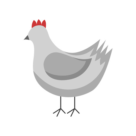 Vector illustration with cartoon isolated chicken on white background. Poultry animal icon. Vector cartoon farm chicken background. Rural poultry icon. Cute cartoon chickenのイラスト素材