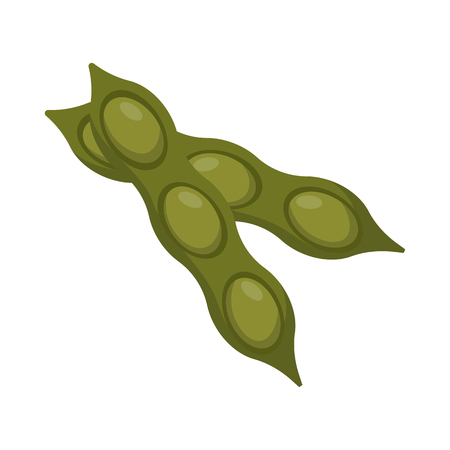 Cartoon illustration with isolated green soy bean pods. Healthy vegan, vegetarian source of protein. Green legumes. Asian, japanese, chinese cuisine. Soy product background. Raw food ingredientのイラスト素材