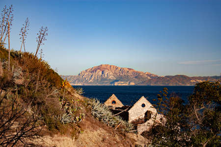 Mediterranean views from the fieldの写真素材