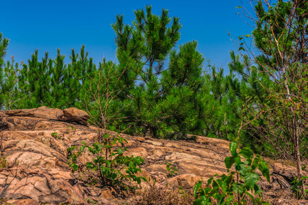 The view from the top of a rocky mountain with some green trees on a sunny day in the nature of Ontario, Canada.の写真素材