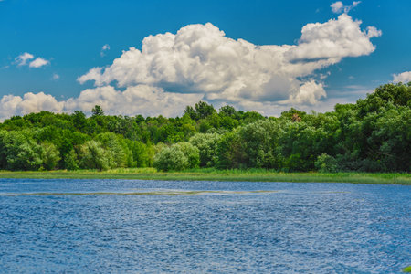 An amazing landcape of the nature containing a lake and a beautiful blue sky. The wild nature of Ontario, Canada.の写真素材